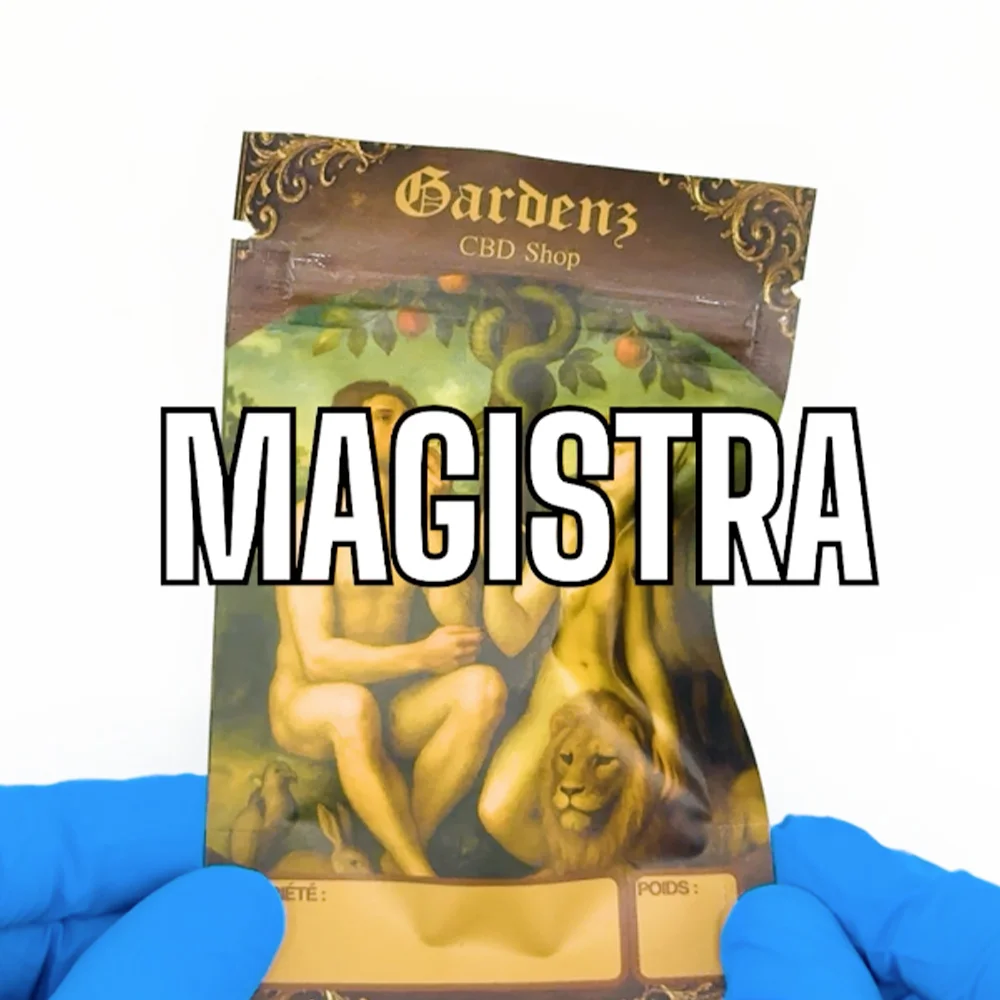 Voir la vidéo