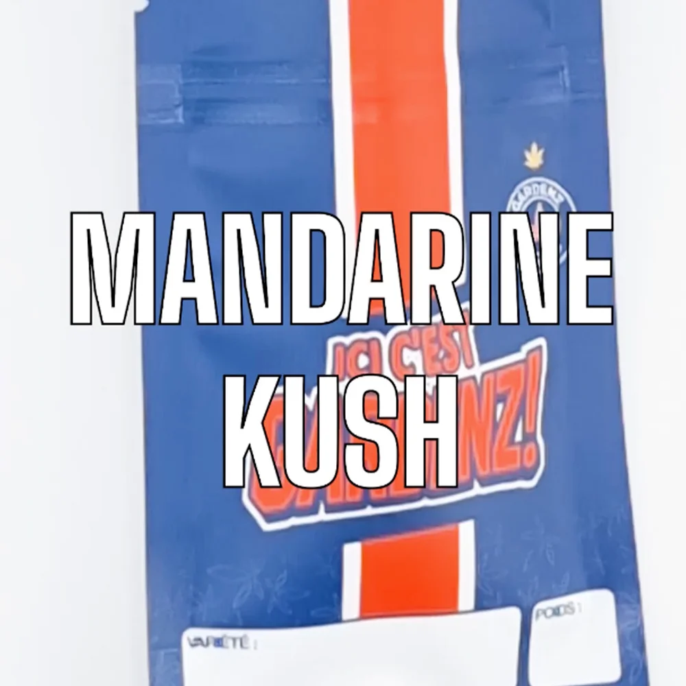 Voir la vidéo