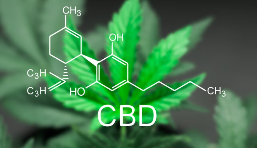 L’Histoire du Cbd.