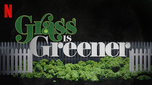 Série et films cannabis - Grass is greener