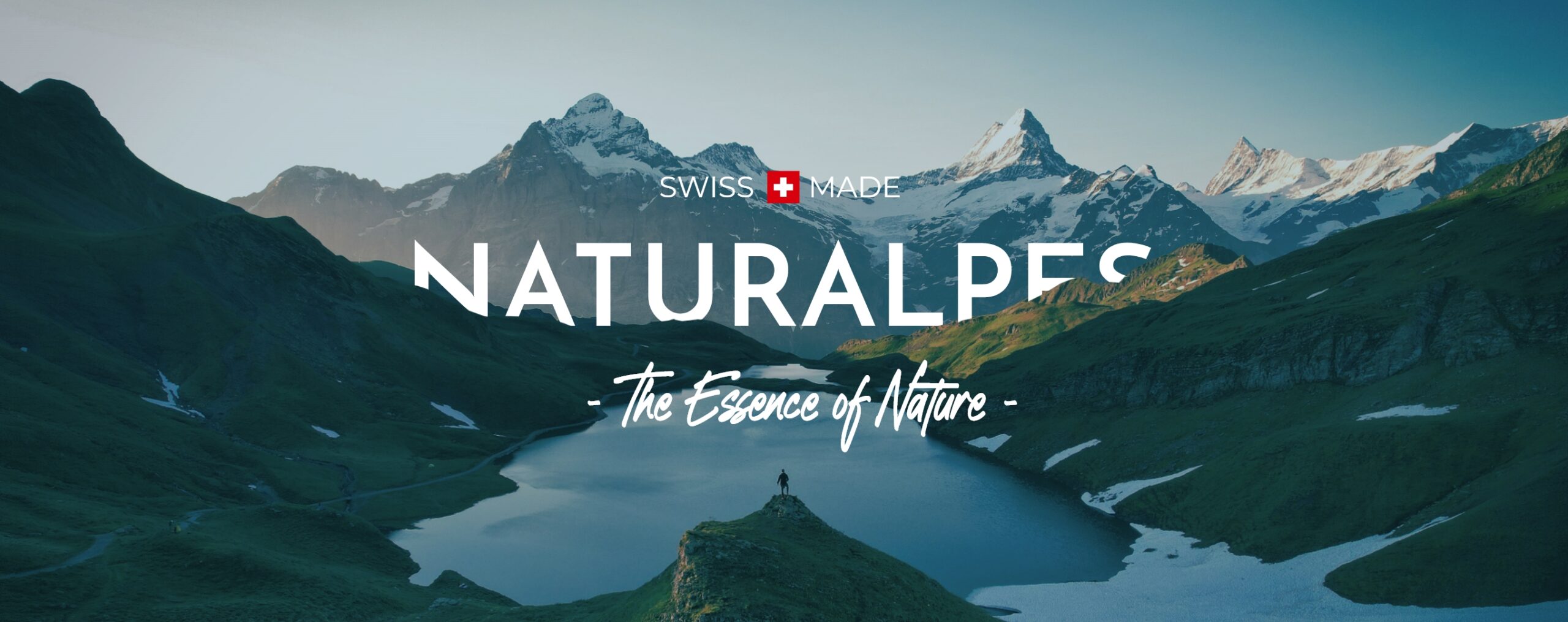 Huiles CBD Naturalpes : 5 huiles pour différents besoins