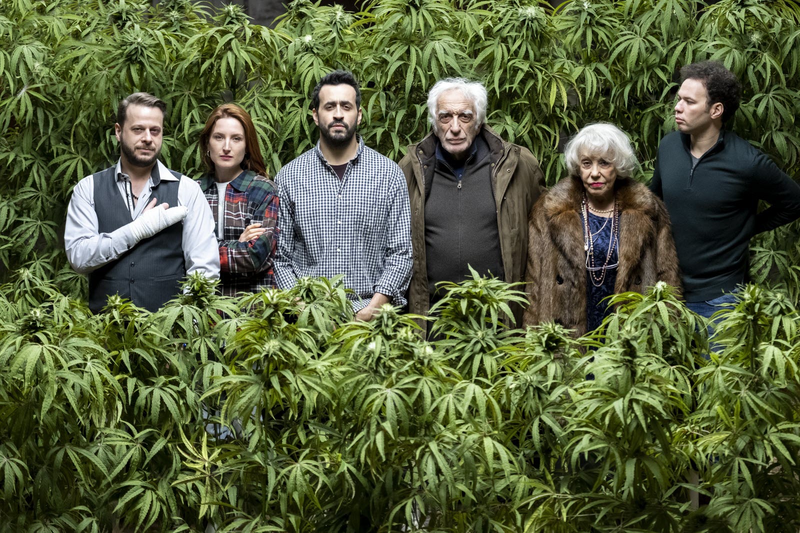 Série et films cannabis - Family Business