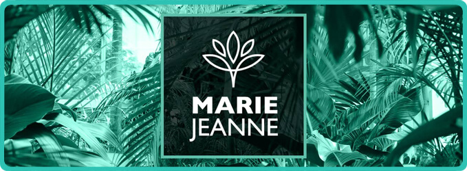 Vapoteuse CBD : Marie Jeanne CBD