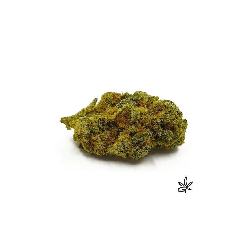 California Dream CBD - Fleurs de CBD la plus forte