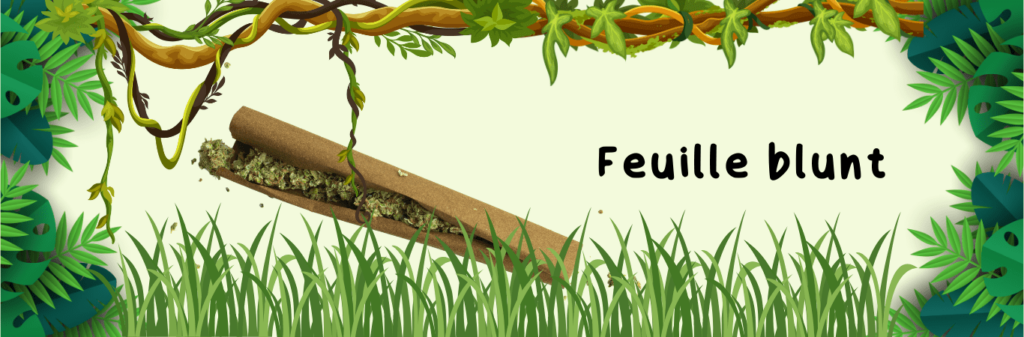 Feuille blunt