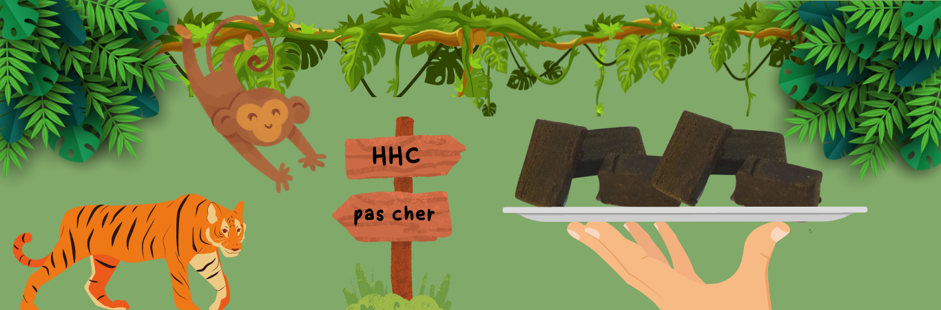 HHC pas chere