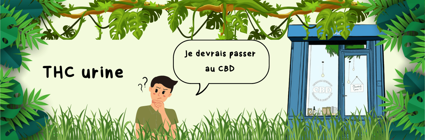 THC urine : explication des analyses et du dépistage