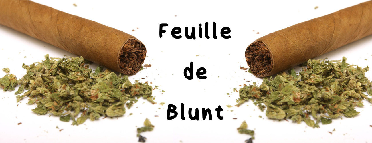 Feuille de Blunt