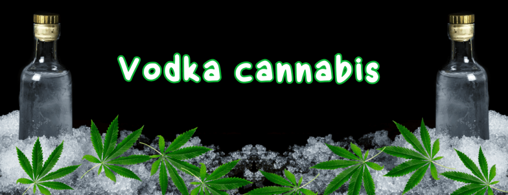 vodka cannabis
