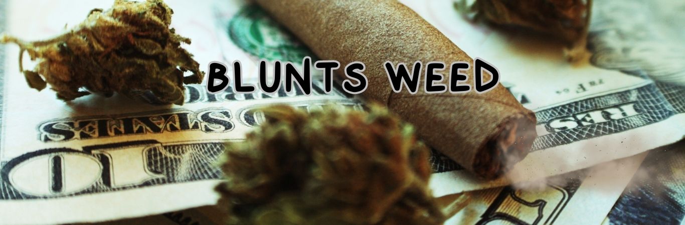 Comment rouler sa weed dans une feuille de blunt ?