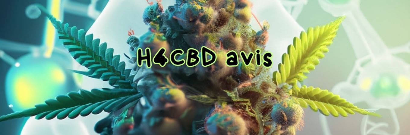 Avis sur le H4CBD : bienfaits et applications