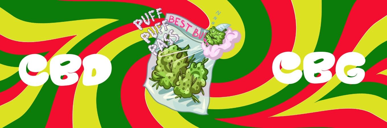 CBD, CBG : quelles sont ces molécules ?