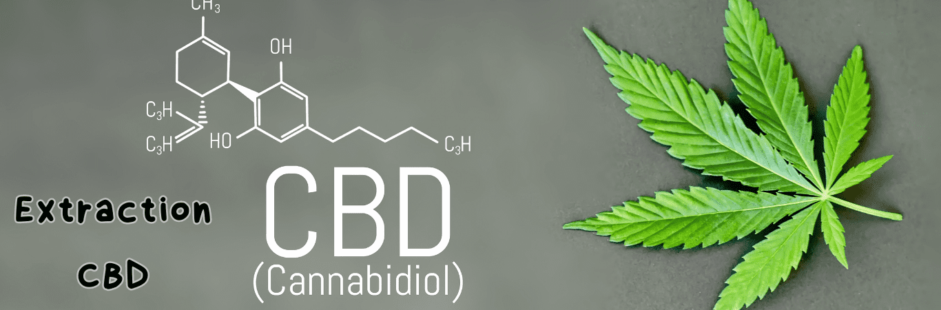 Extraction CBD
