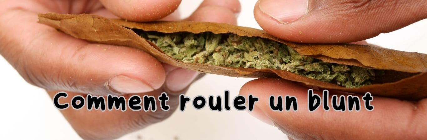 Comment rouler un blunt parfait : Guide détaillé