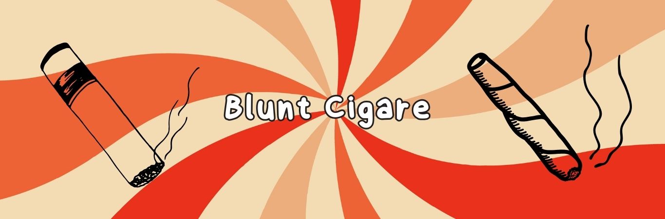 Feuilles de Blunt cigare : origines et variétés