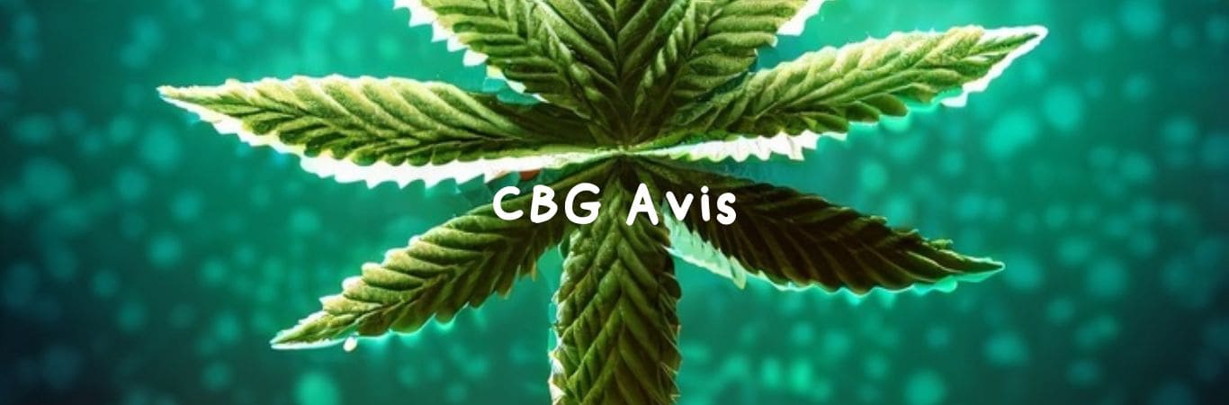 Avis sur le CBG : Bienfaits thérapeutiques de ce cannabinoïde