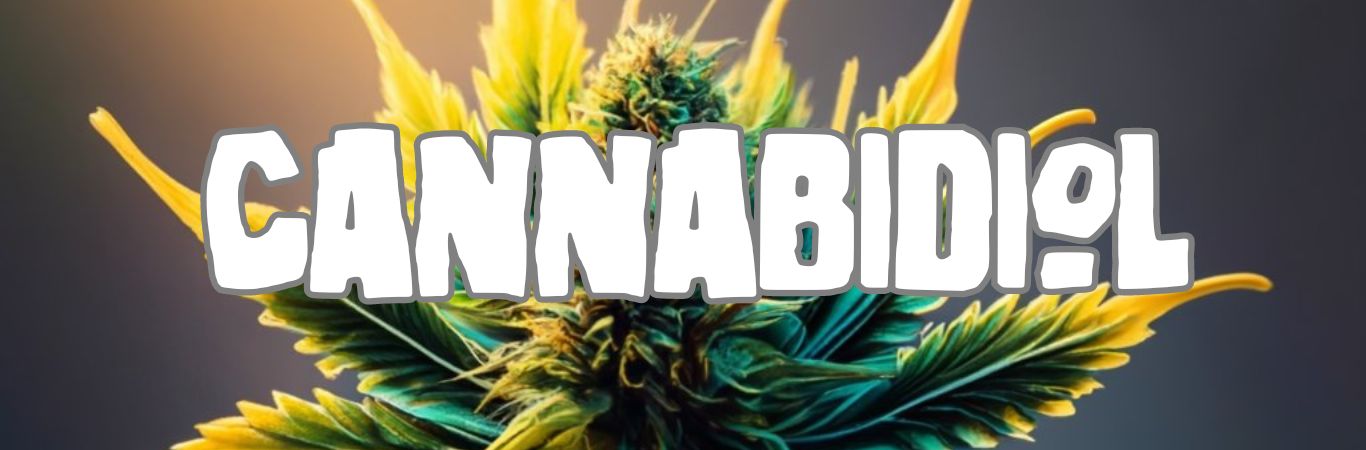 Cannabidiol : le guide complet du CBD