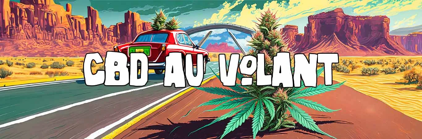 CBD au volant : quelles sont les précautions à prendre ?
