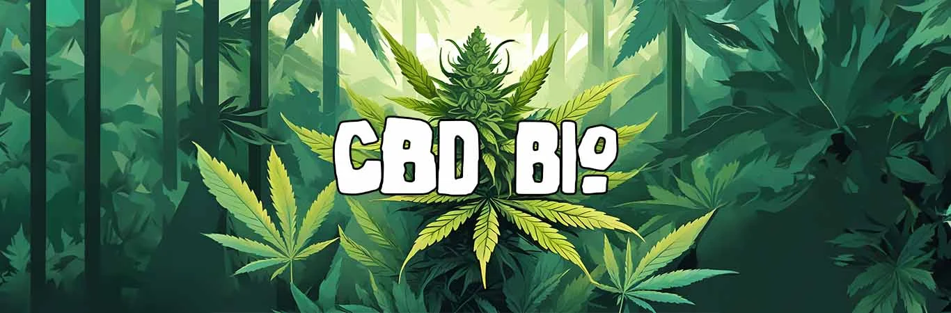 CBD bio : le bienfait des produits CBD bio naturels de qualité