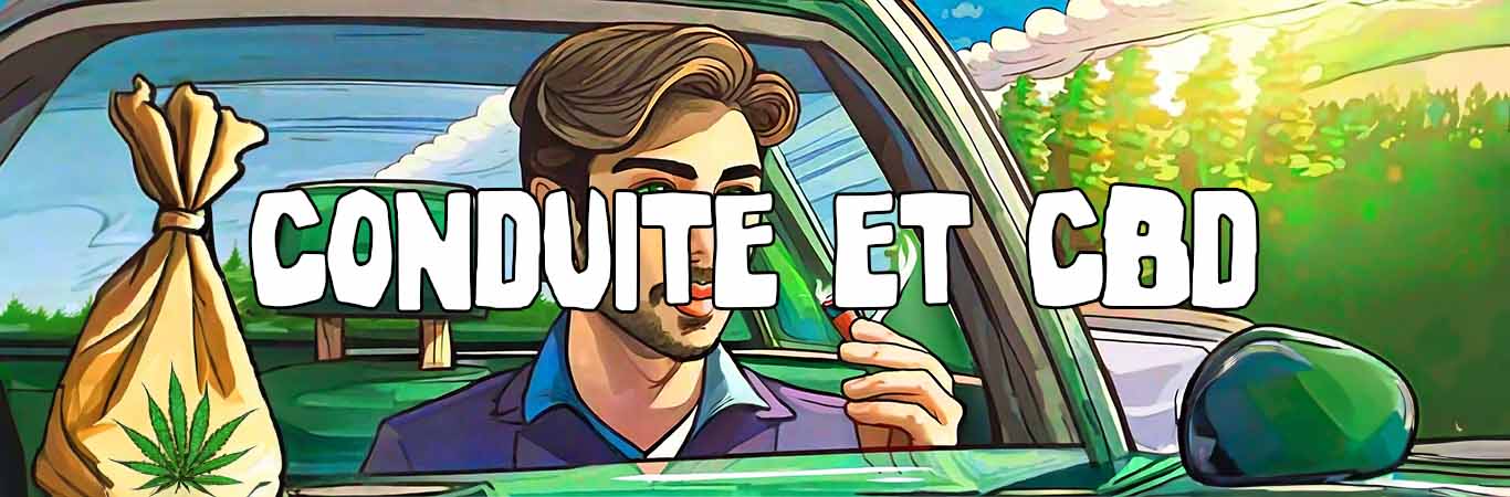 CBD et conduite : Est-ce légal ?