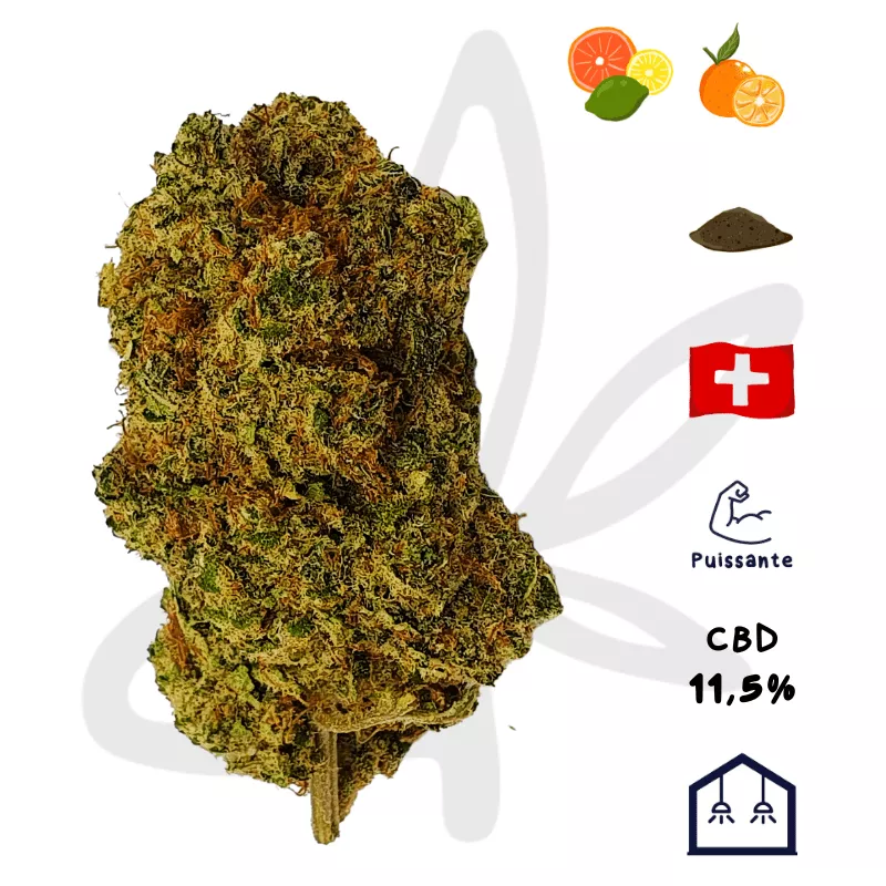 CBD orangello suisse