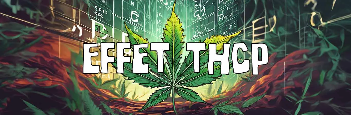 Effet THCP : Découvrez le THCP, ses effets ?