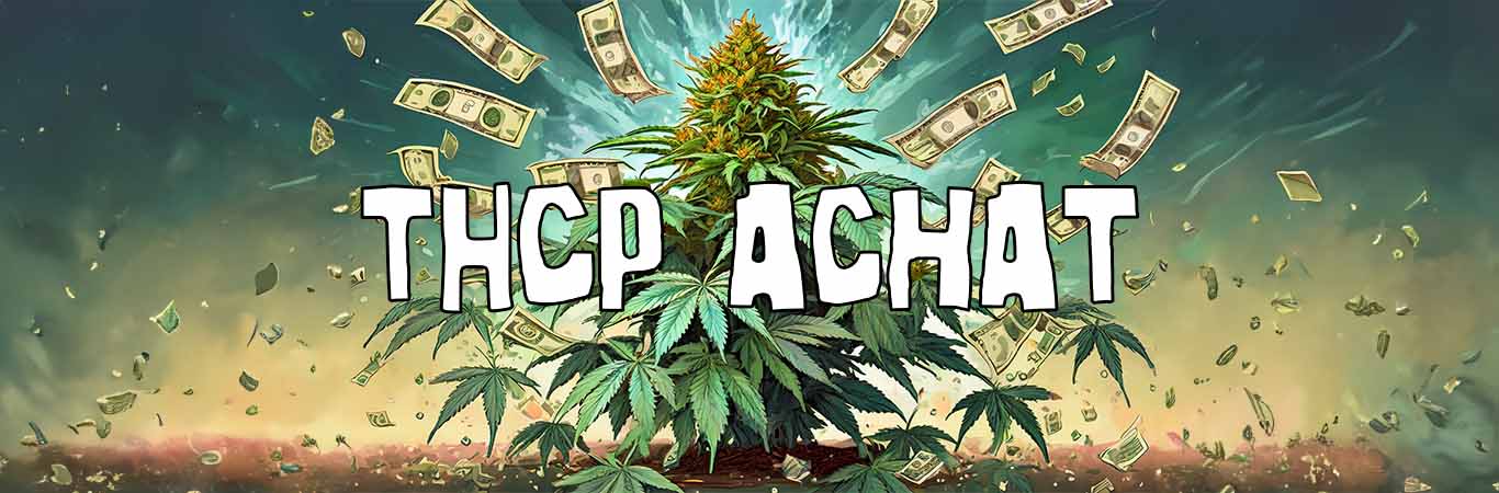 THCP achat : achat de THCP, produits, effets, légalité…