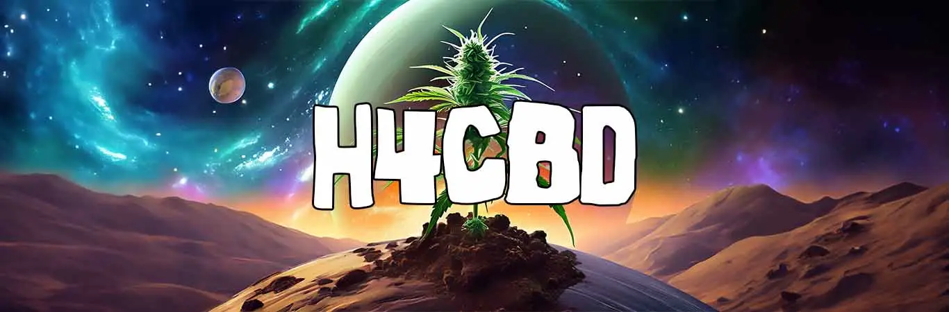 H4CBD : Tout savoir sur ce cannabinoïde dérivé du cannabis