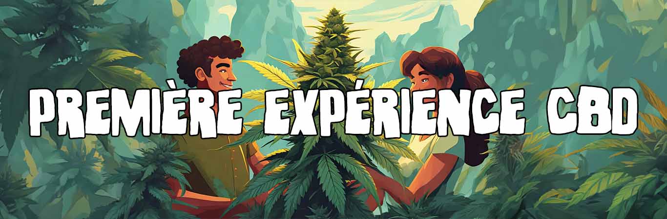 Guide de la première expérience avec le CBD