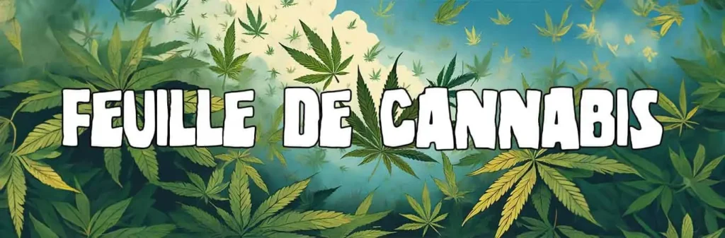 Feuille de cannabis