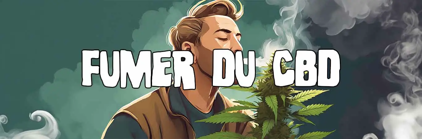 Fumer du CBD : risques, légalité et conseils de consommation