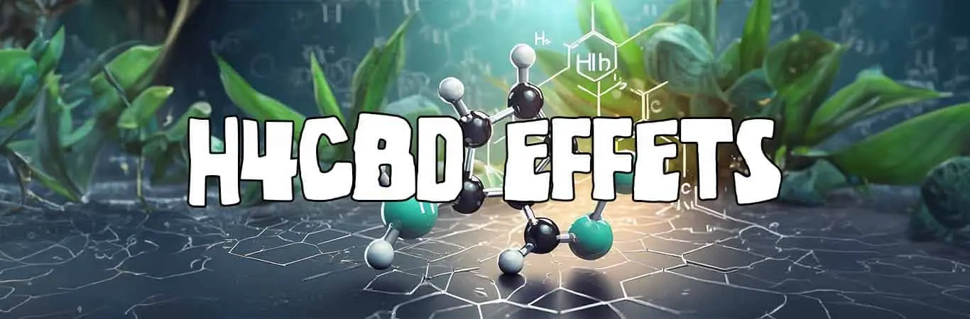 H4CBD effets : différence avec CBD et bienfaits de cette molécule
