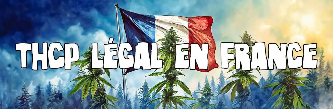 Le THCP est-il légal en France ?