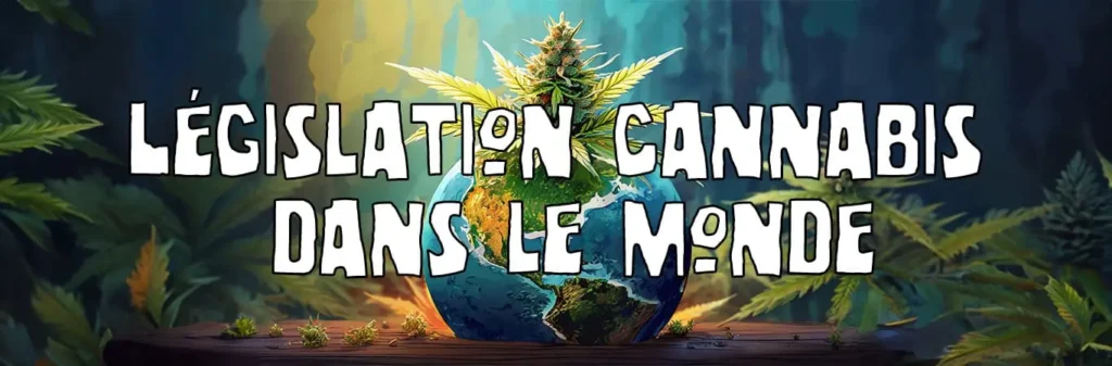 Pays les plus sévères sur le cannabis : législation actuelle