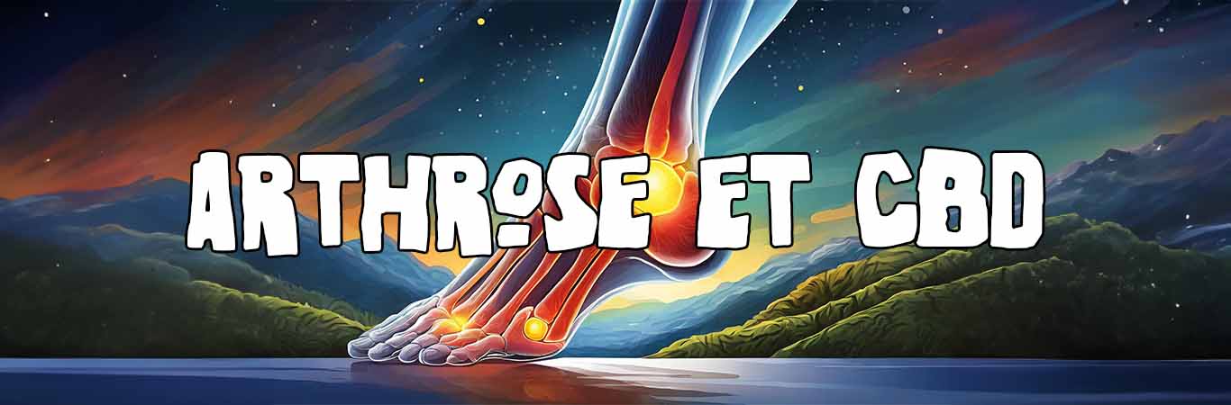 Le CBD peut-il soulager les douleurs liées à l&rsquo;arthrose ?