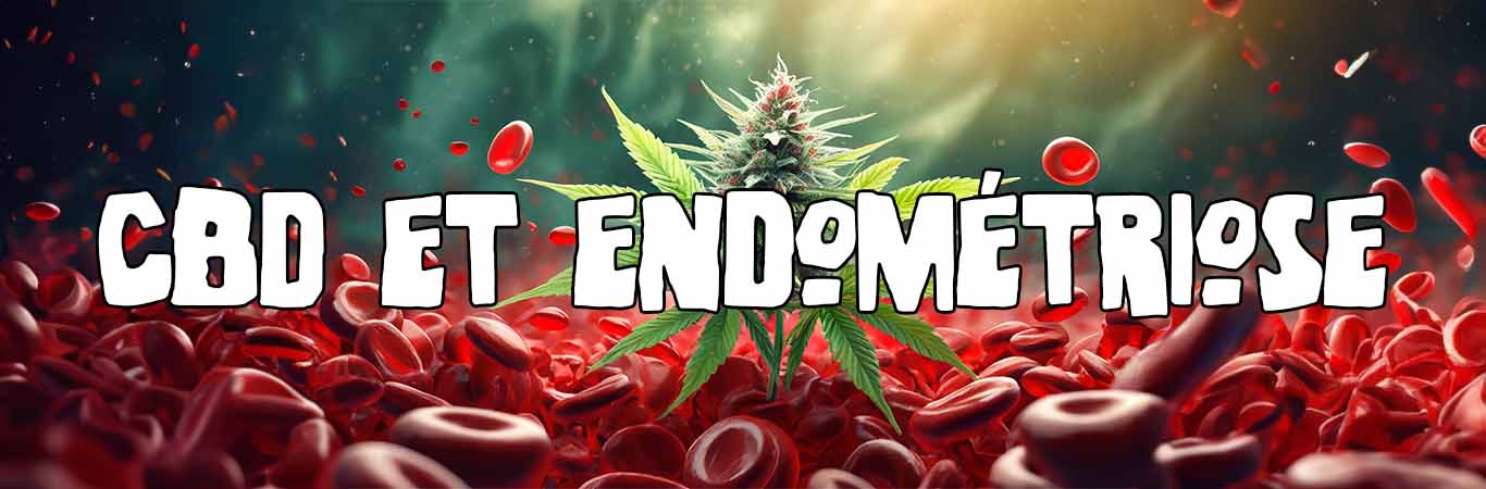 Le CBD peut-il soulager les symptômes de l&rsquo;endométriose ?