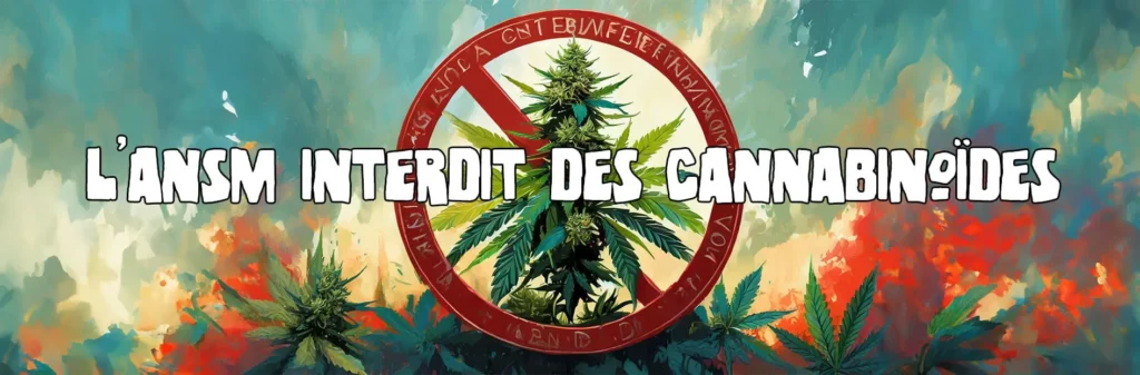 L’ANSM prévoit d’interdire de nouveaux cannabinoïdes en France