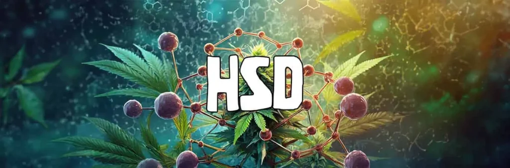Molécule de HSD : cannabinoïde puissant, effets et légalité