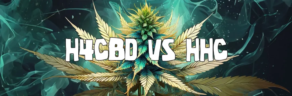 H4CBD vs HHC : quelle différence ?