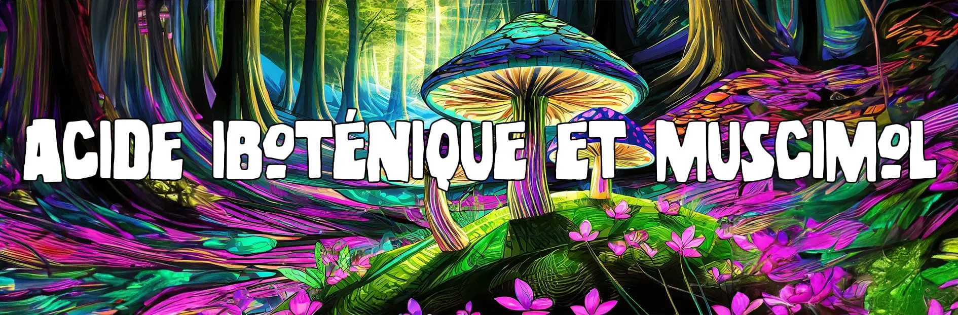 L&rsquo;acide iboténique et le muscimol : une exploration approfondie