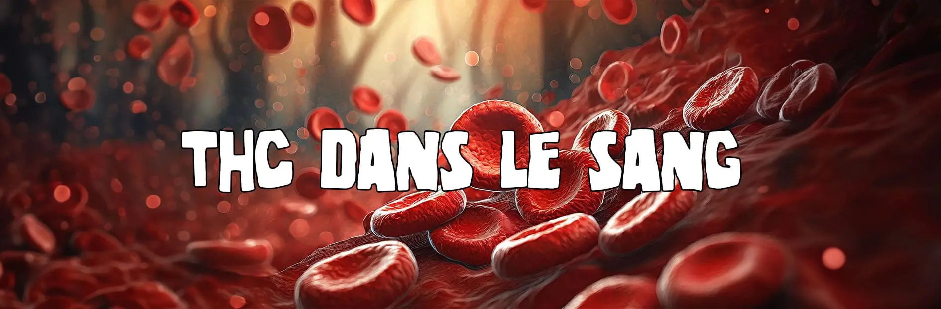 Le THC dans le sang : de l&rsquo;inhalation à la détection