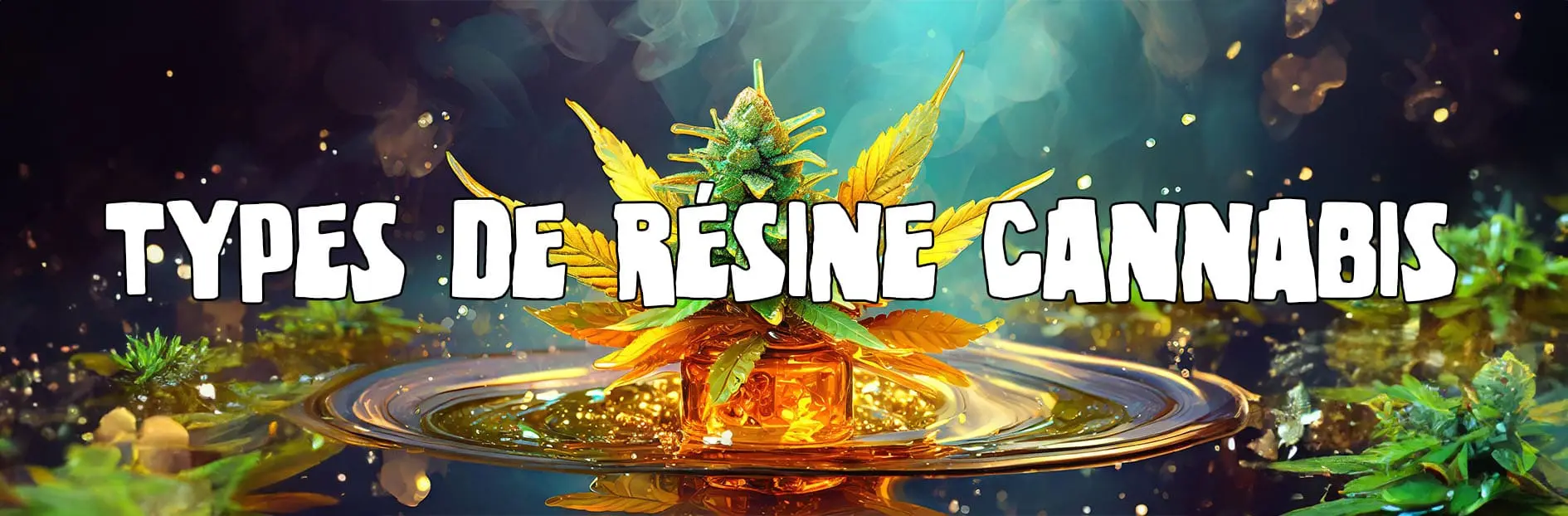 Les différents types de résine cannabis