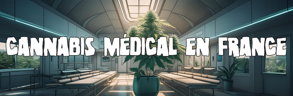 cannabis médical en France