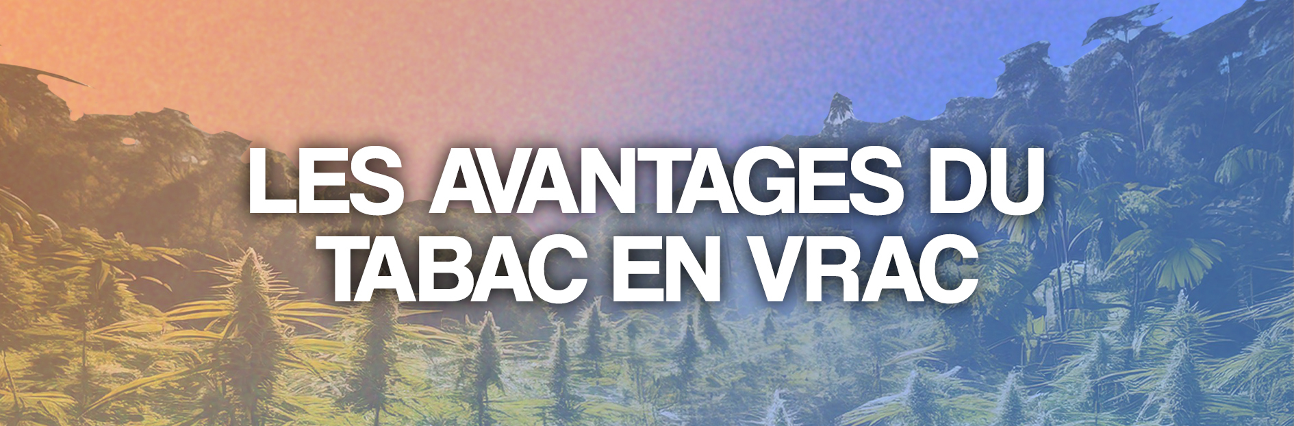 Quels sont les avantages du tabac en vrac ?