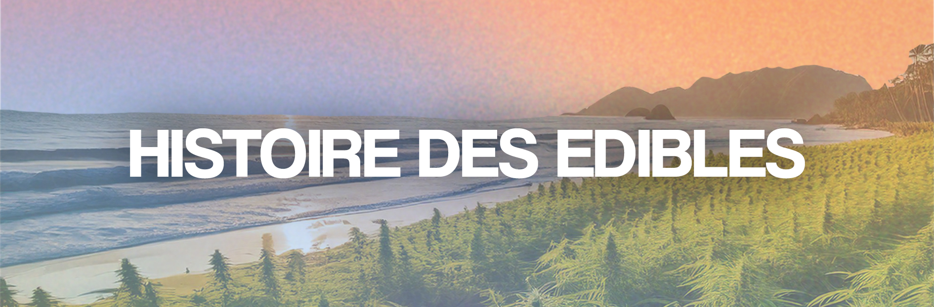 Histoire des edibles : une tradition ancienne