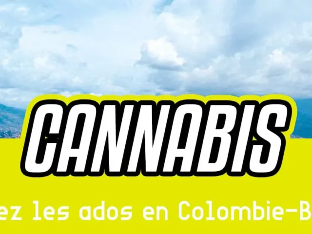 Consommation de cannabis en baisse chez les ados en Colombie-Britannique
