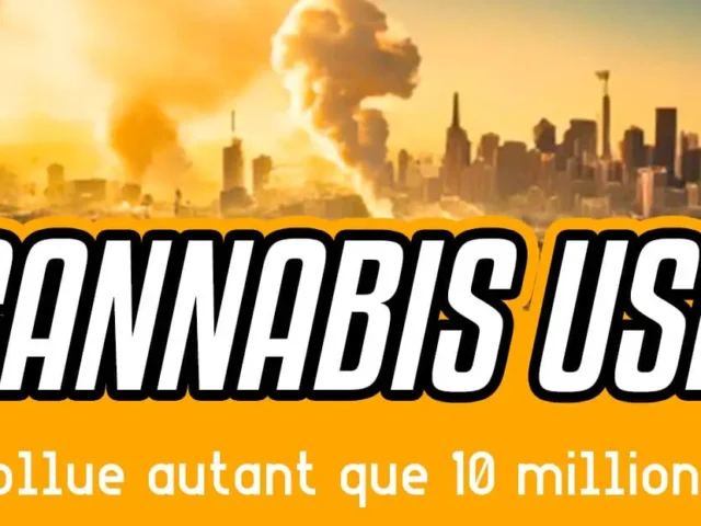 Cannabis légal USA : l&rsquo;industrie pollue autant que 10 millions de voitures