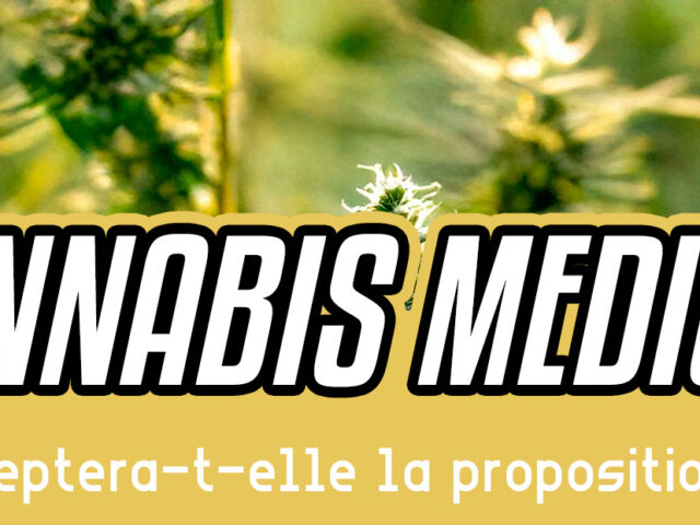 Cannabis médical en France : l’Europe valide enfin son intégration ?