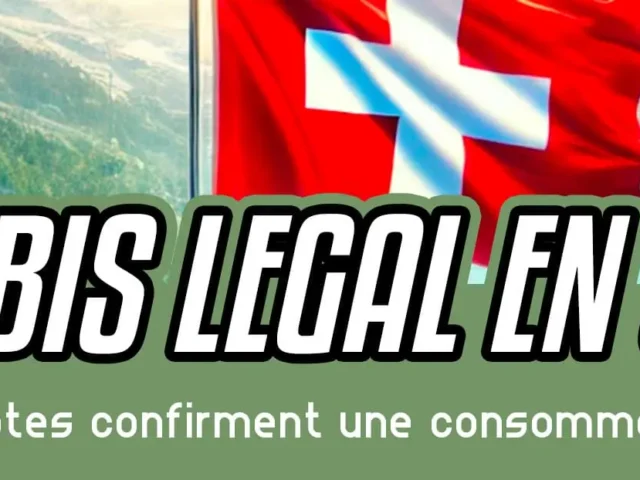Cannabis légal en Suisse : Les essais pilotes confirment une consommation plus sûre