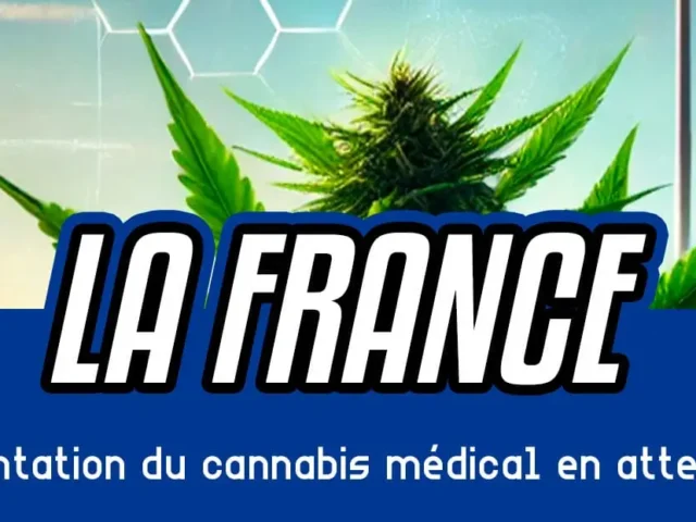 La France prolonge l’expérimentation du cannabis médical en attendant une régulation